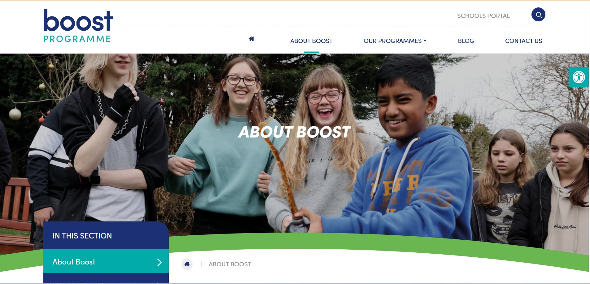 Featured image for Boost Programme